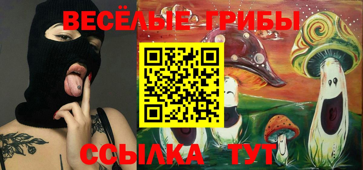 Галлюциногенные грибы Psilocybine cubensis  Галлюциногенные грибы мицелий  Вход с VPN  Северск 